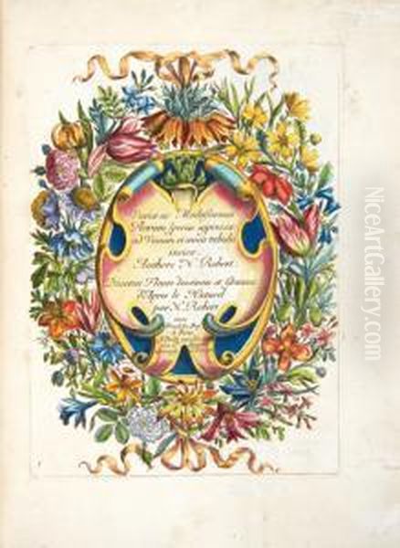 Variae Ac Multiformes Florum 
Species Appressae Ad Vivum Et AEneis Tabulis Incisae. Authore N. Robert. 
Diverses Fleurs Dessinees Et Gravees D'apres Le Naturel Par N. Robert. Oil Painting by Nicolas Robert