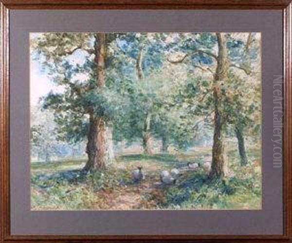 Sheep Grazing Among Trees Oil Painting by David Robertson