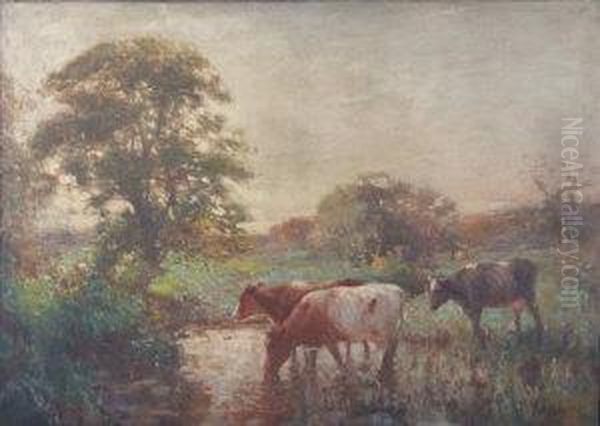 Three Cows Drinking At A Pool Oil Painting by David Robertson