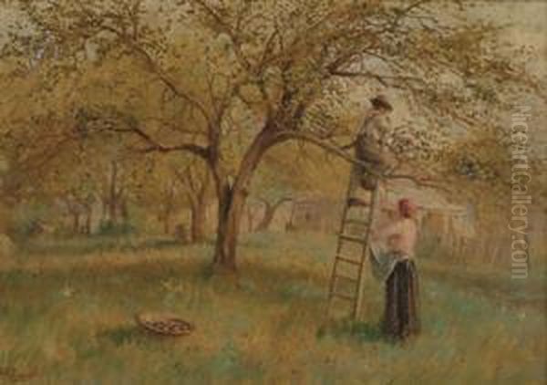 Apple Picking Oil Painting by Hal Robinson