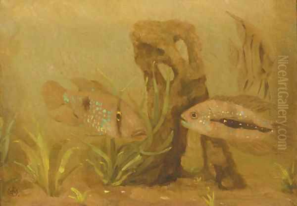 Kameleon vissen Oil Painting by Gerrit Willem Dijsselhof