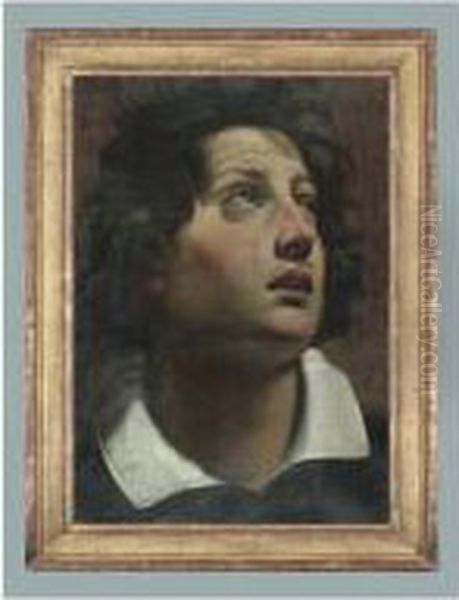 Portrait De Jeune Homme Vu De 
Trois-quarts Etude De Figure Drapee A La Sanguine Au Verso [, Head Of A 
Youth Looking To Upper Right, Oil On Paper ; On The Reverse, A Red Chalk
 Study Of A Draped Figure] Oil Painting by Matteo Rosselli