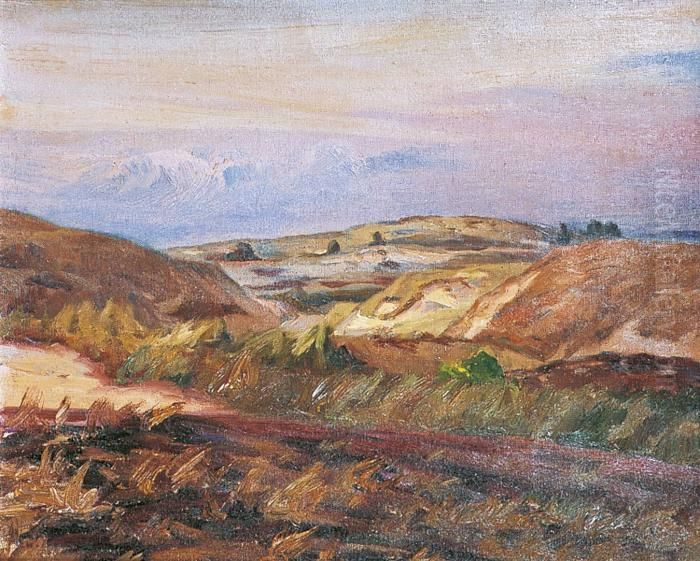 Dune Et Lande En Bord De Mer Oil Painting by Charles Emmanuel Roussel