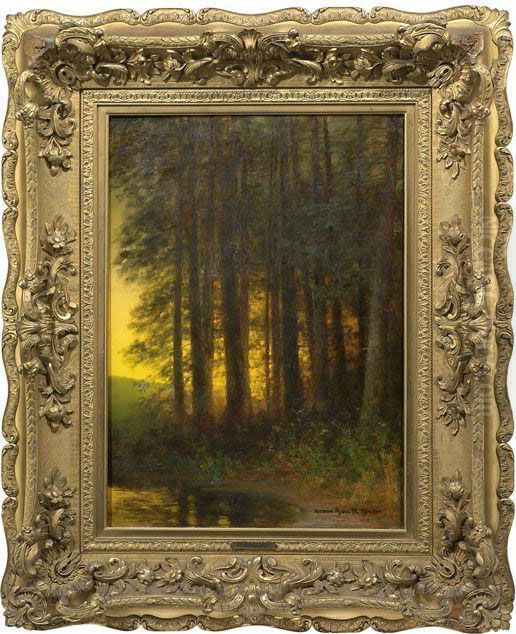 Fichten Am Abendlichen Seeufer Oil Painting by Hermann Rudisuhli