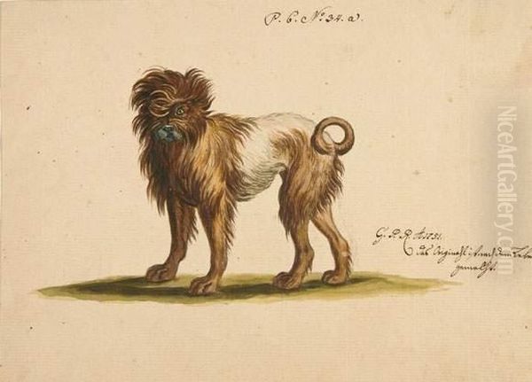 Hund. Oil Painting by Georg Philipp Rugendas I