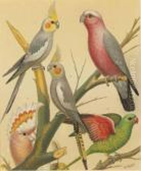 The Illustrated Book Of Canaries And Cage-birds Oil Painting by William Rutledge
