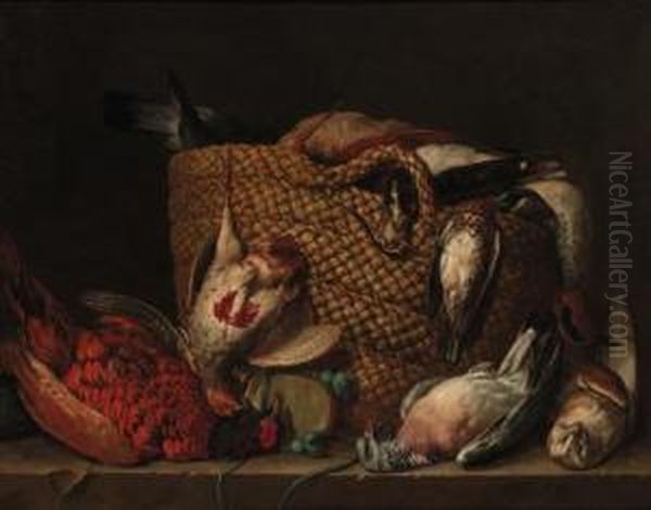 A Pheasant, Pigeon, Owl, And A 
Basket With A Partridge, Duck,lapwing And Woodcock On A Ledge Oil Painting by Pieter Andreas Rysbrack