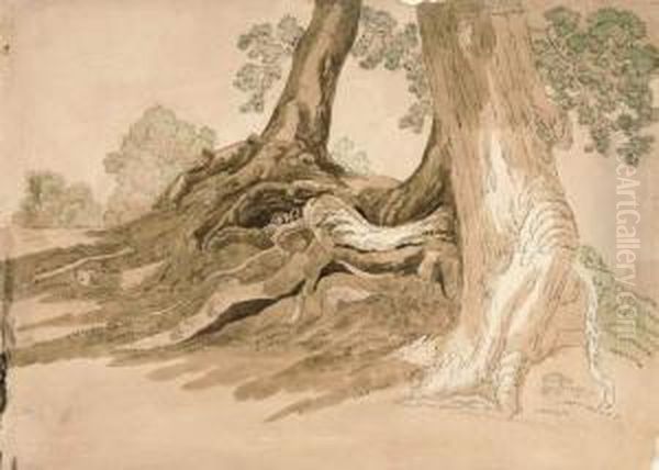 Baumstudie Mit Wurzelwerk. Oil Painting by Friedrich Salathe