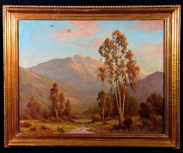 A Mountainous Landscape With Wild Flowers And Eucalyptus Trees Oil Painting by Herbert Sartelle