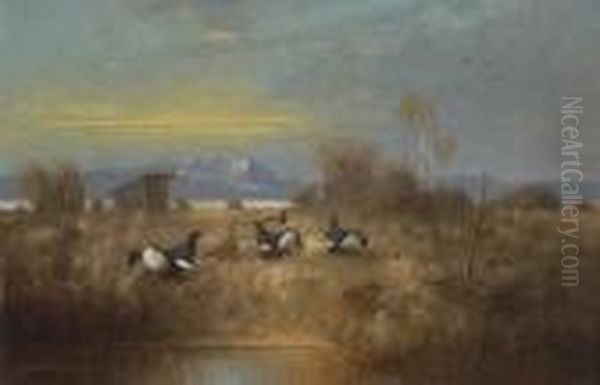 Birkhahne Und -hennen In
 Moorlandschaft. Oil Painting by Otto Scheuerer