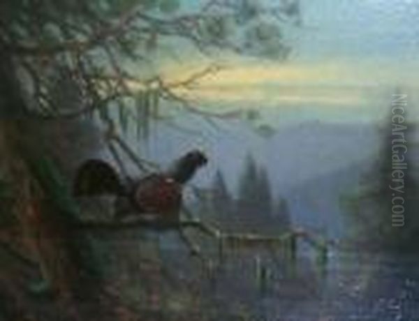 Auerhahn.unten Links Signiert Otto Scheuerer Mch Oil Painting by Otto Scheuerer