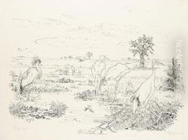 Sumpfvogel (marsh Birds) Oil Painting by Rudolf Schlichter