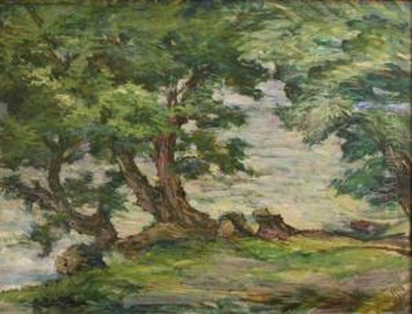 Arbres Au Bord De La Riviere Oil Painting by Willy Schlobach
