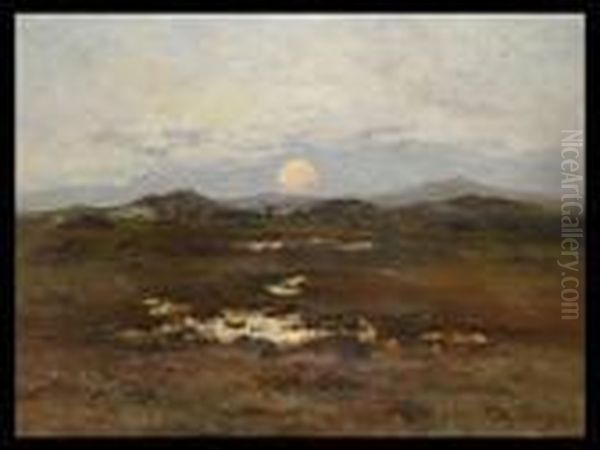 Tiefe Landschaft Mit Sonnenuntergang Oil Painting by Willy Schlobach