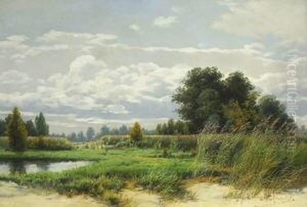 Sommerliche
 Schilflandschaft. Oil Painting by Wilhelm Schutze