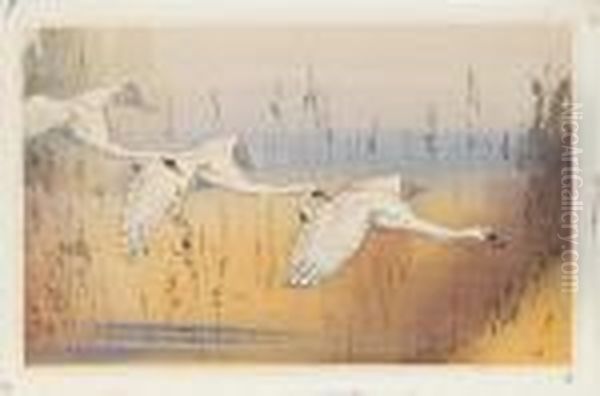 Swans In Flight Oil Painting by Allen William Seaby