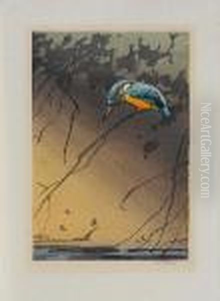 Kingfisher Oil Painting by Allen William Seaby