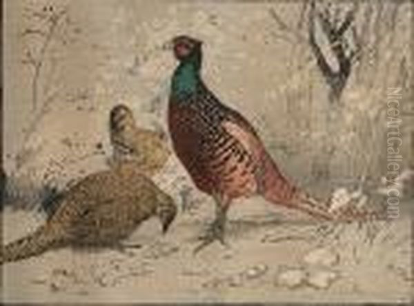 Pheasants Oil Painting by Allen William Seaby
