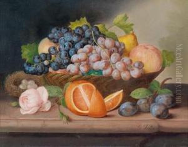 Fruchtestillleben Mit Rose Und Vogelnest Oil Painting by Georg (Johann G.) Seitz