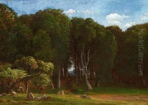 A Standing Deer Between The Trees In Dyrehaven North Of Copenhagen Oil Painting by Peter Christian T. Skovgaard