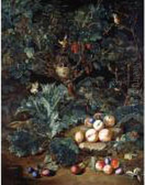 A Forest Floor With Peaches And 
Plums Arranged On Stony Ground Below A Small Tree Filled With A Bird's 
Nest And Berries Oil Painting by Pieter Snyers
