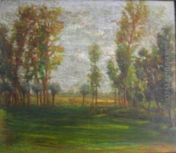 Scorcio Dicampagna Con Alberi Oil Painting by Erminio Soldera