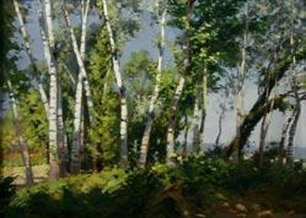 sous-bois  Oil Painting by Domingo I Solergili