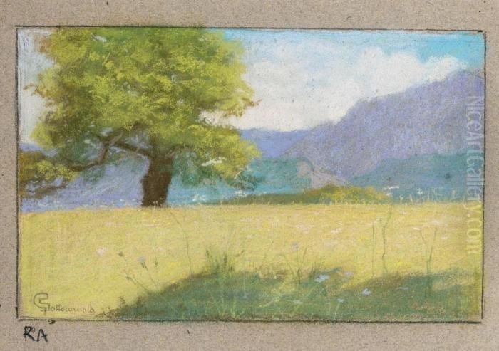 L'albero Oil Painting by Giovanni Sottocornola