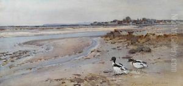 Shelduck At Low Tide, Looking Towards Burnham Overy Oil Painting by Frank Southgate