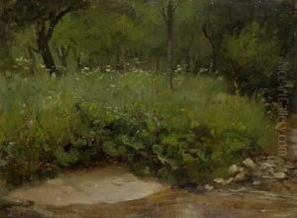 Wiesengrund Bei Pinzberg In
 Franken Oil Painting by Johann Sperl