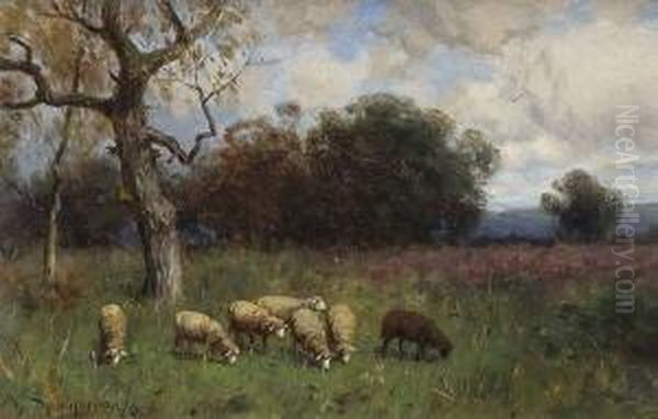 Weidende Schafe Auf Einer
 Wiese Oil Painting by August Karl Martin Splitgerber