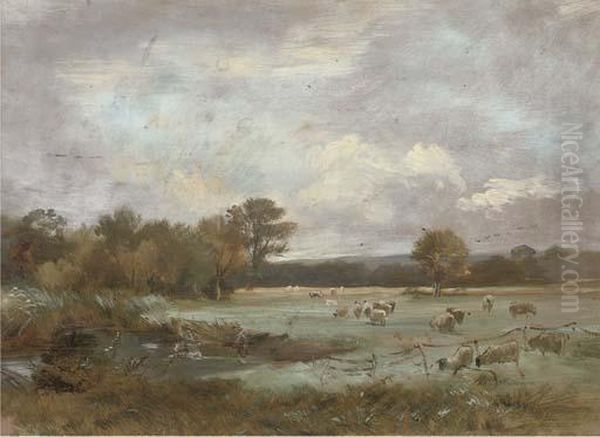 On Hale Farm Water Meadows Oil Painting by Arthur J. Stark
