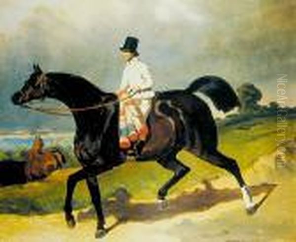 Mlody Jezdziec, Ok. Pol. Xix W. Oil Painting by Carl Steffeck