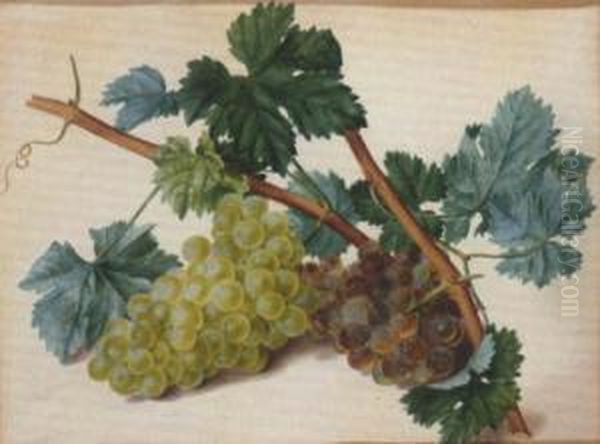 Grapes On The Vine Oil Painting by Leopold Stoll
