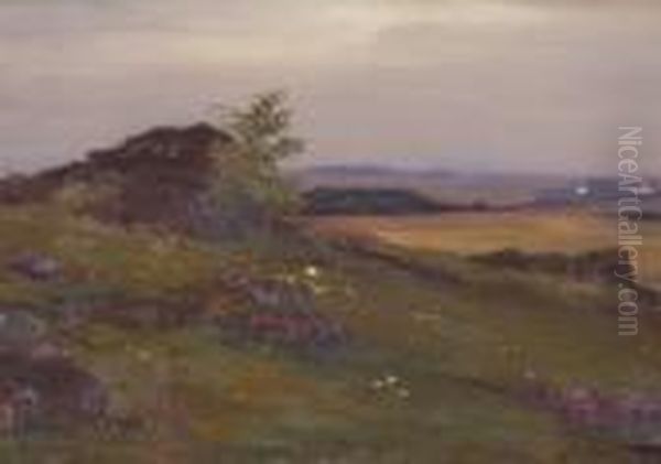 Weite Landschaft Mit
 Felsblocken. Oil Painting by Josef Straka