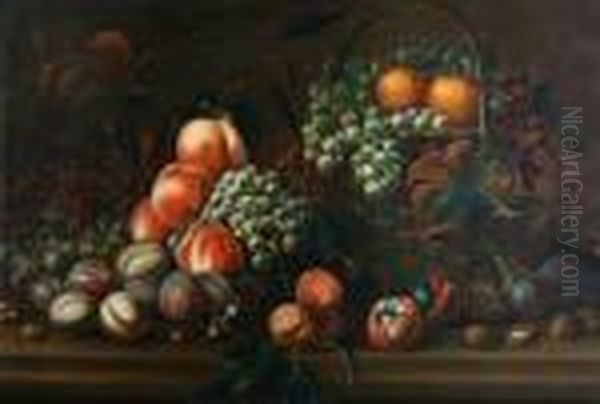 Still Life Of Grapes, Peaches, Plums Andwalnuts On A Ledge Oil Painting by Tobias Stranover