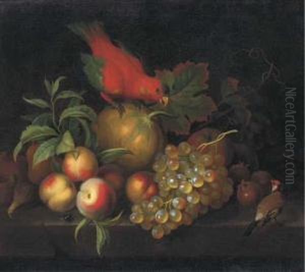 A Melon, Peaches, Grapes, 
Medlars And Other Fruit With A Parrot Anda Goldfinch On A Ledge Oil Painting by Tobias Stranover