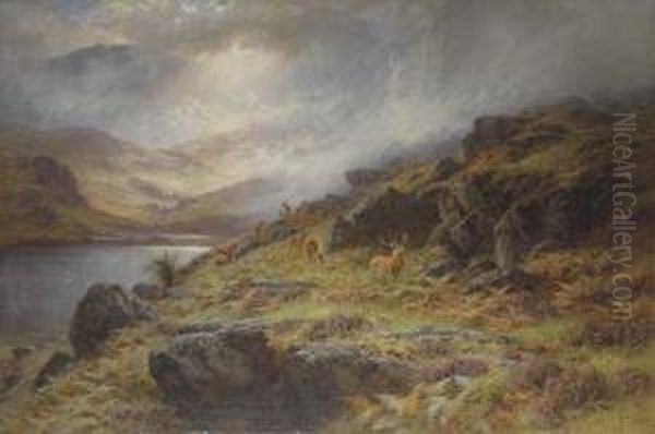 A Scotch Deer Forest Oil Painting by Charles Stuart