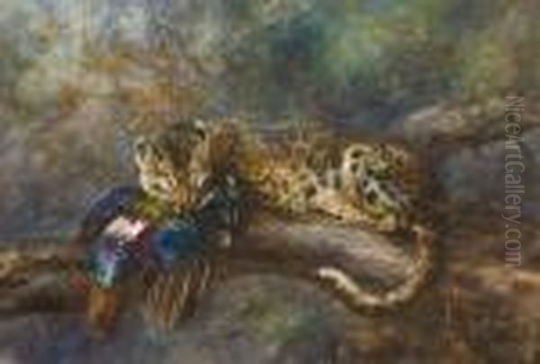 An Himalayan Leopard With Its Prey Oil Painting by Cuthbert Edmund Swan