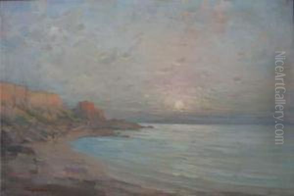 Apus Pe Mare Oil Painting by Nicolae Tempeanu