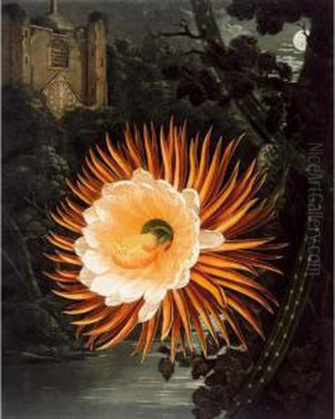 John. [new Illustration Of The 
Sexual System Of Carolus Von Linnaeus... And The Temple Of Flora Or 
Garden Of Nature]. London: For The Publisher, 1799[-1807] Oil Painting by Robert John, Dr. Thornton