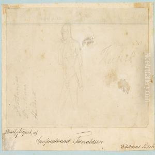 Pencil Sketch Of A Male Nude With Notes Oil Painting by Bertel Thorvaldsen