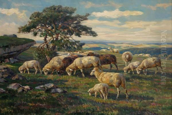 Grazing Sheep Oil Painting by Willy Tiedjen