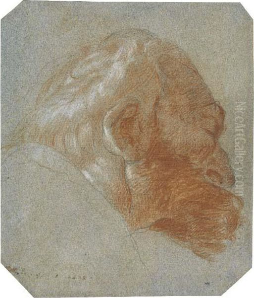 Head Of A Bearded Old Man In Profile To The Right Oil Painting by Lorenzo Tiepolo