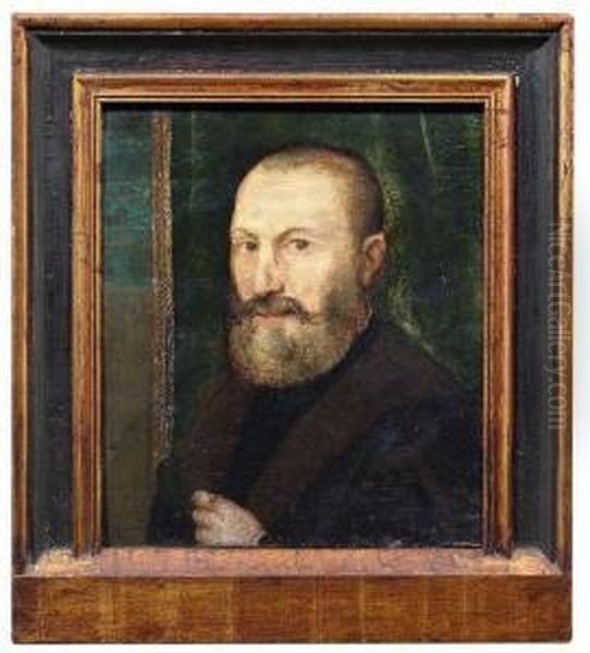 Bildnis Eines Bartigen Mannes Vor Einem Grunen Vorhang Oil Painting by Tiziano Vecellio (Titian)