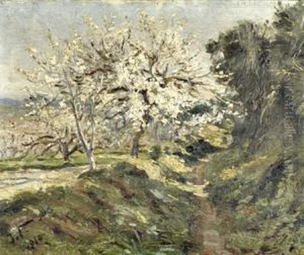 Arvore Oil Painting by Falcao Trigoso