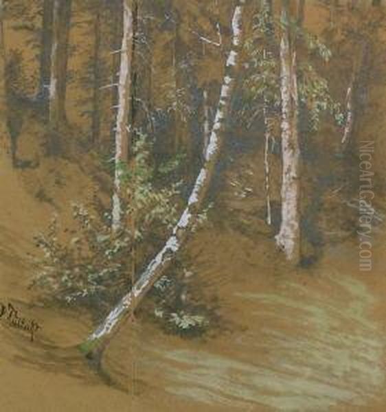 Birkenwaldchen. Deckfarben Und 
Bleistift Auf Beigem Karton Auf Grauem Karton Aufgezogen. 32,5 X 30 Cm. 
Signiert. Oil Painting by Paul Wilhelm Tubbecke