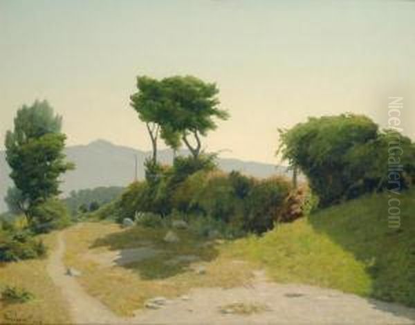 Vecchia Strada Del Marroneto Oil Painting by Memo Vagaggini