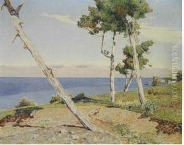 Pini Di Antignano Oil Painting by Memo Vagaggini