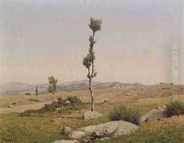 La Verna, Poggio Di Pratolino Oil Painting by Memo Vagaggini